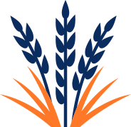 農作物非食用部（稲わら、もみがら等）